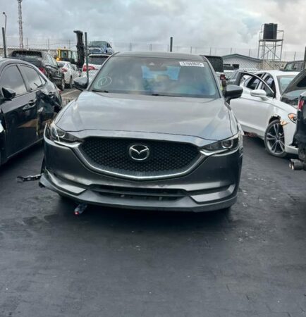 WhatsApp Image 2026-01-07 at 4.34.54 PM