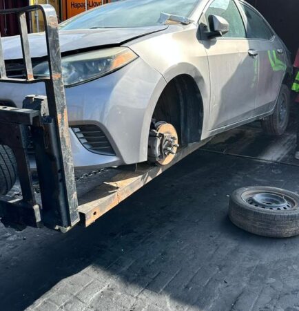 WhatsApp Image 2026-01-07 at 4.34.57 PM (2)