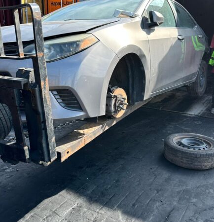 WhatsApp Image 2026-01-09 at 1.06.23 PM