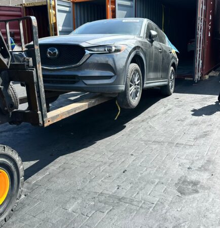 WhatsApp Image 2026-01-09 at 1.06.24 PM (1)