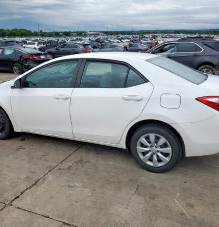 WhatsApp Image 2026-01-09 at 1.06.37 PM