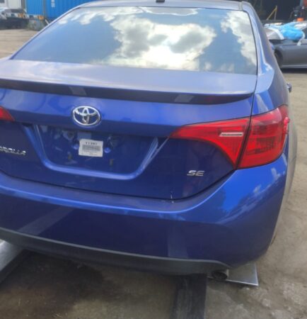 WhatsApp Image 2026-01-09 at 1.34.54 PM (1)