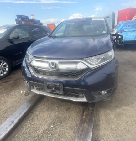 WhatsApp Image 2026-01-09 at 1.34.55 PM (1)