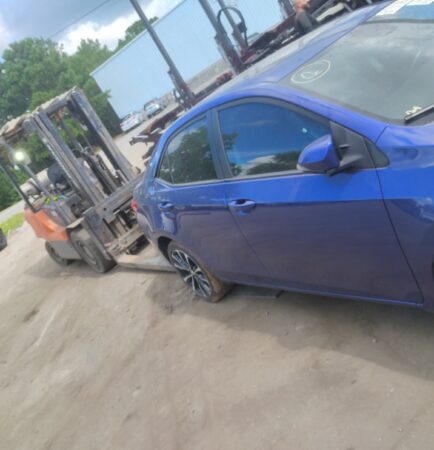 WhatsApp Image 2026-01-09 at 1.34.55 PM (3)