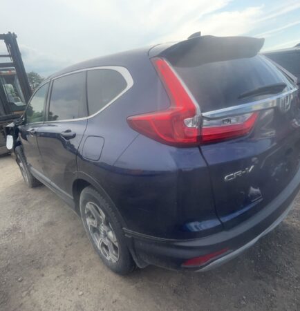 WhatsApp Image 2026-01-09 at 1.34.55 PM